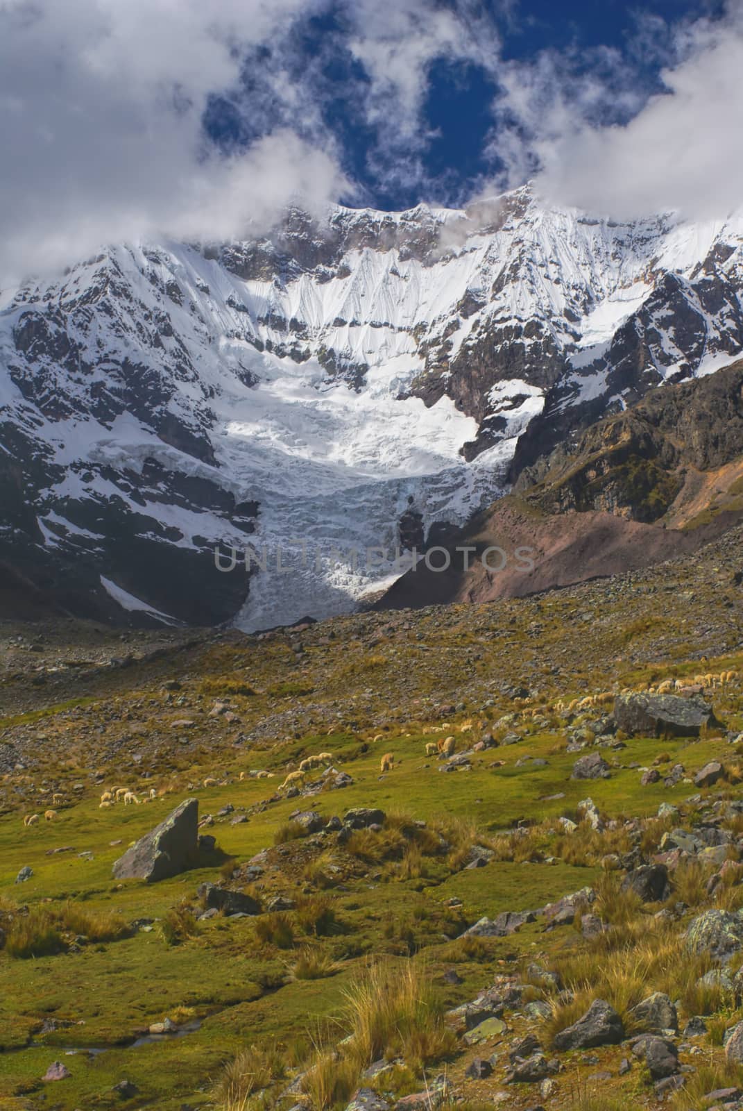 Majestic peaks and herd of llamas in Ausangate in Peru, south american Andes