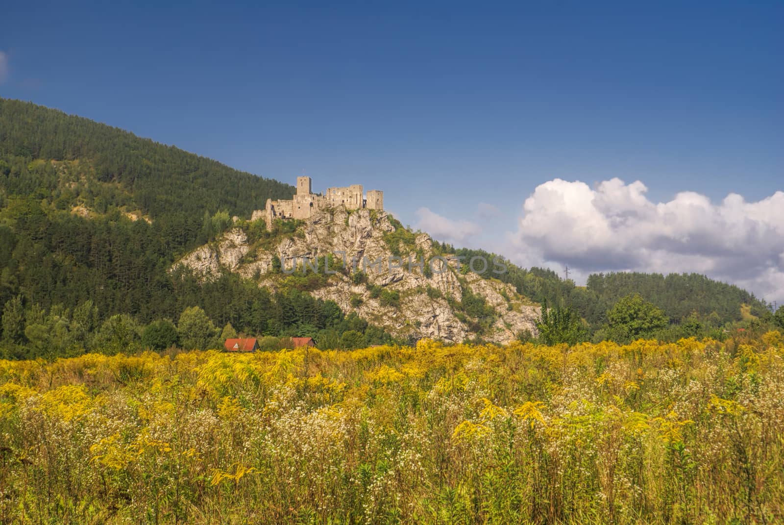 Scenic ruins of strecno castle in Slovakia