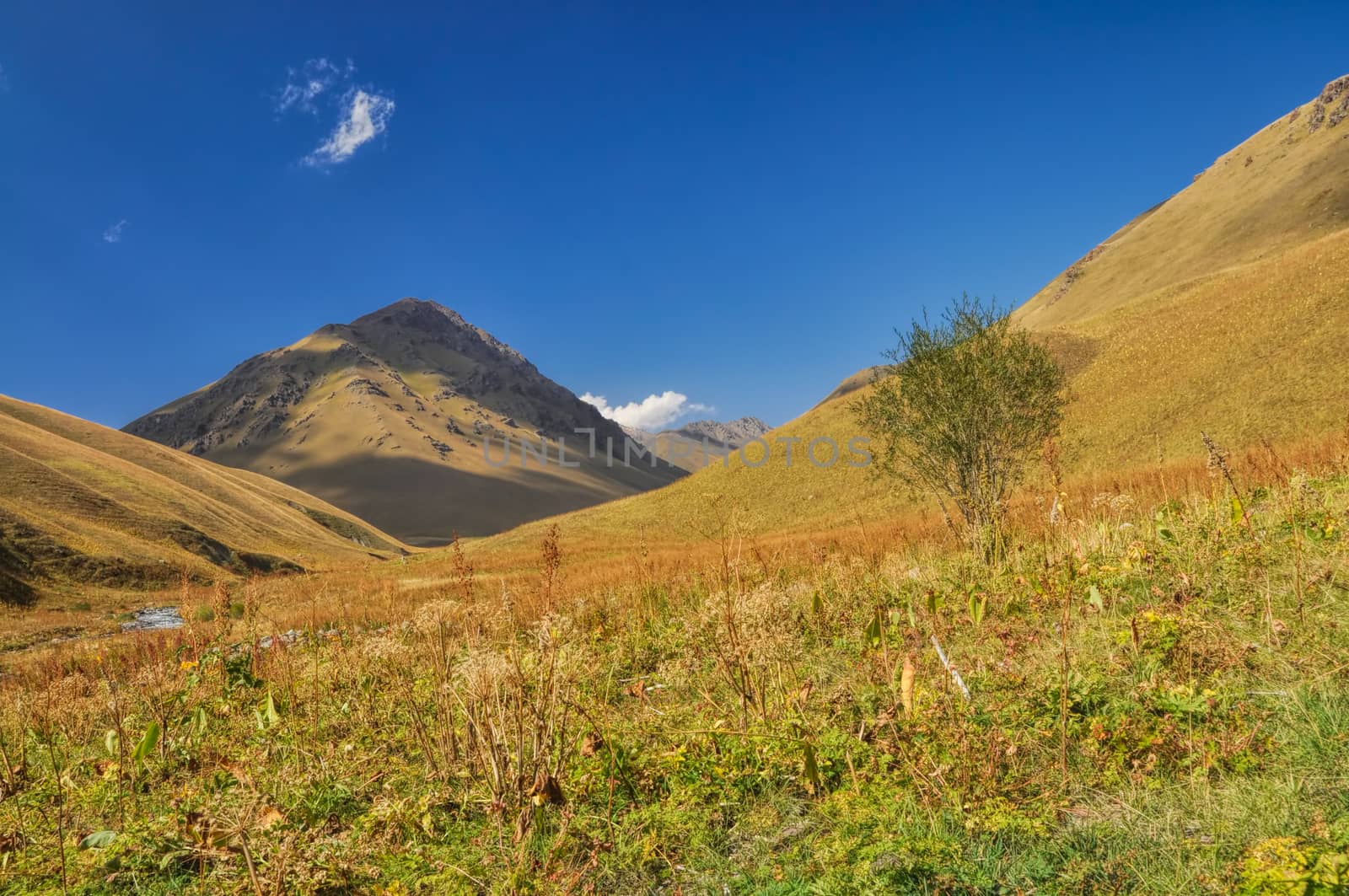 Picturesque green hills in Ala Archa national park in Tian Shan mountain range in Kyrgyzstan