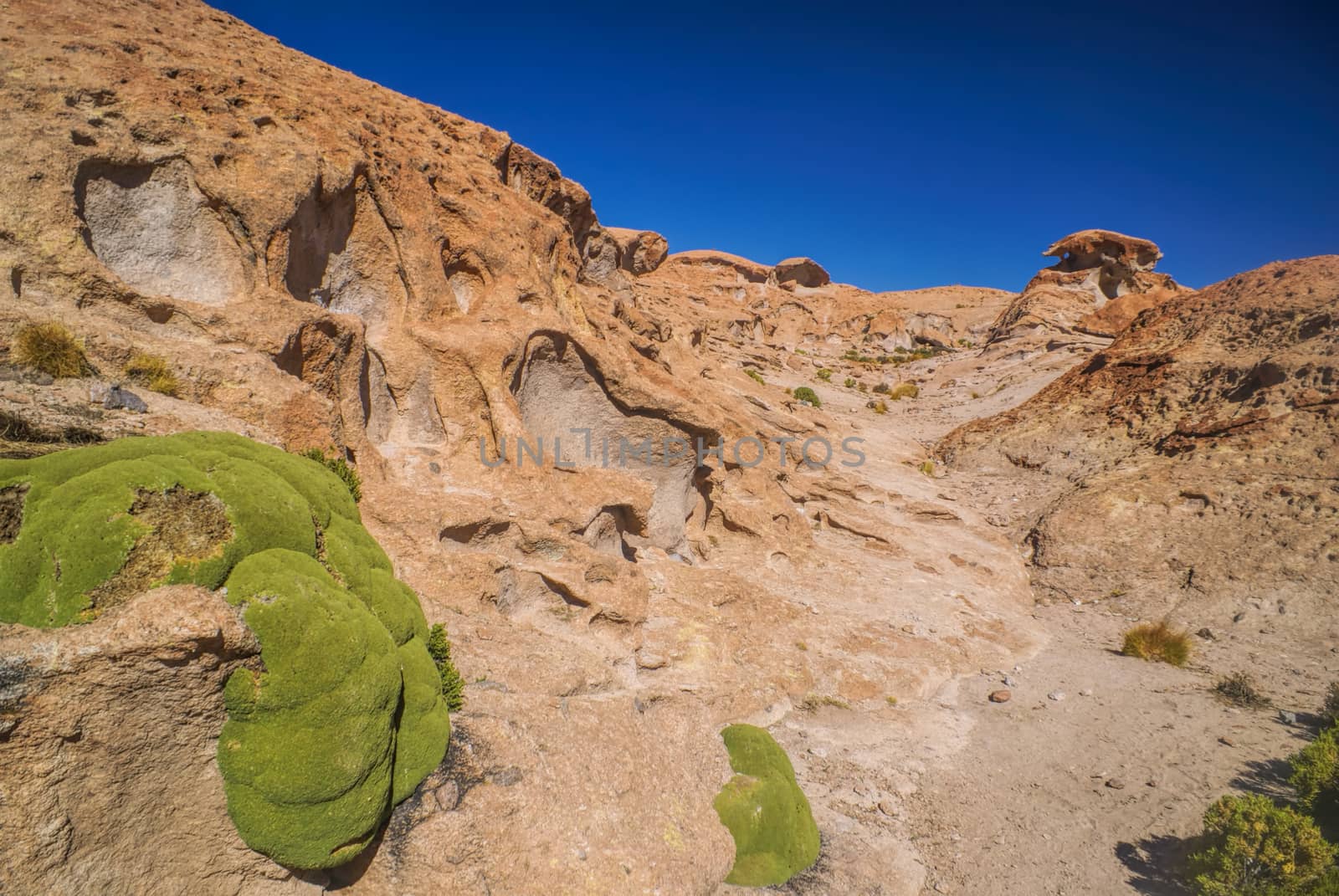 Volcanic rocks near salt planes Salar de Uyuni in bolivian desert