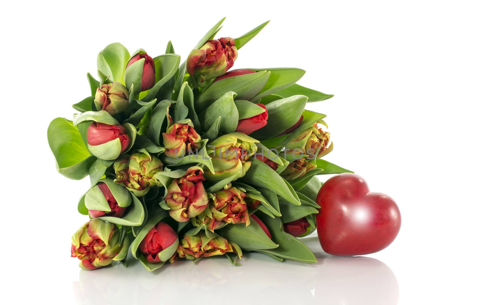 red tulips and heart shape on white background