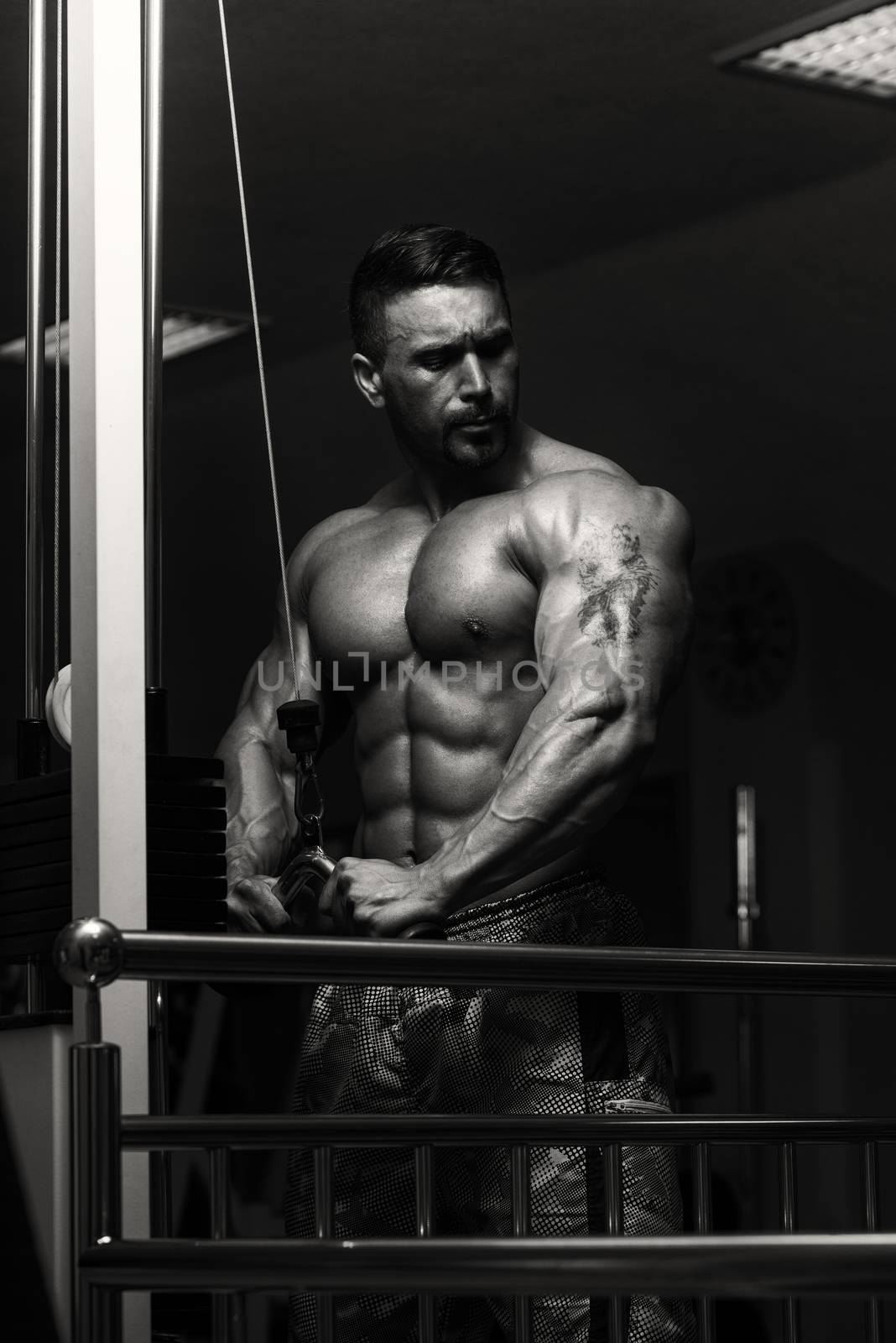 Bodybuilder Exercising Triceps by JalePhoto