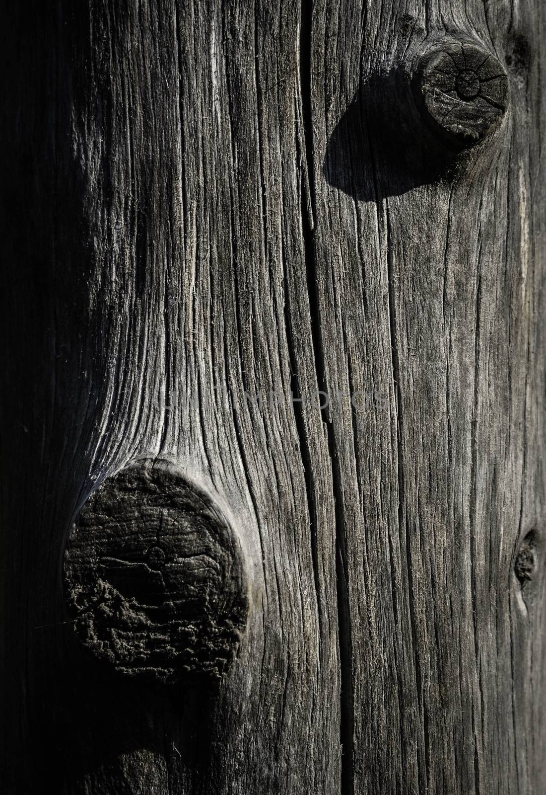 abstract wood trunk sculpture by Ahojdoma