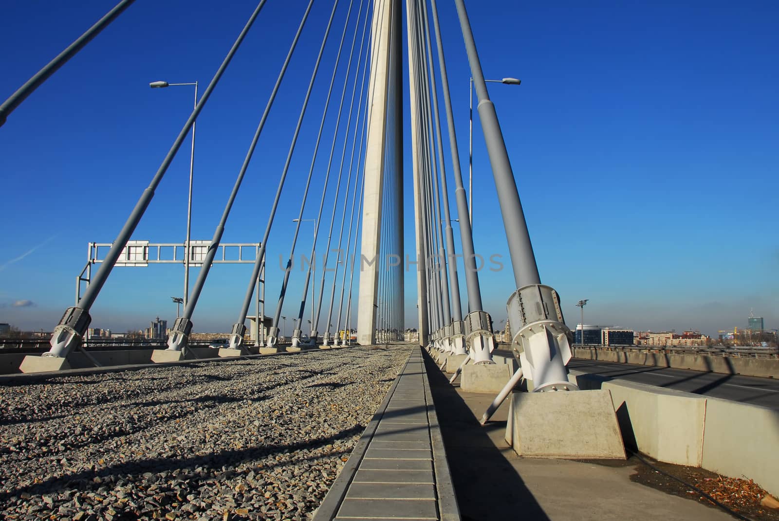 Ada bridge in Belgrade by simply