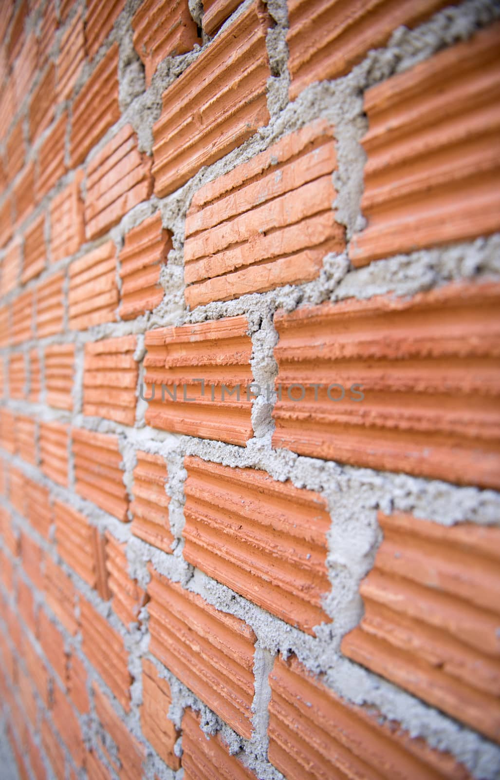 brick wall by anankkml