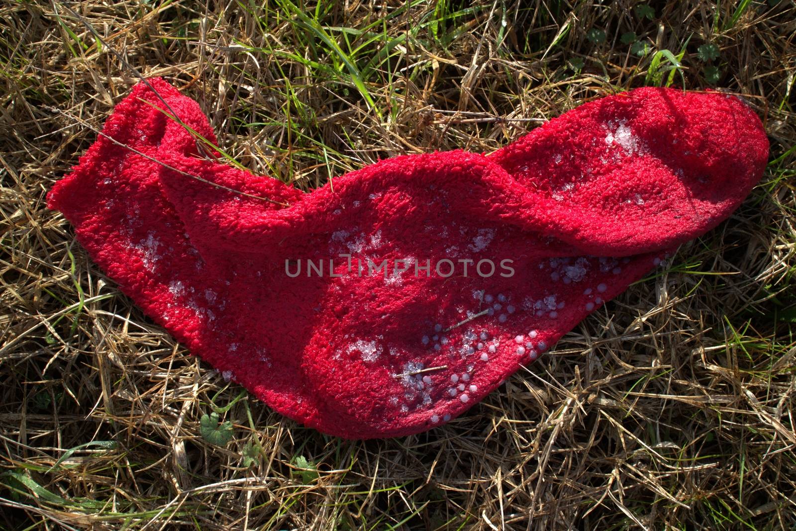 Frozen socks in winter in a field