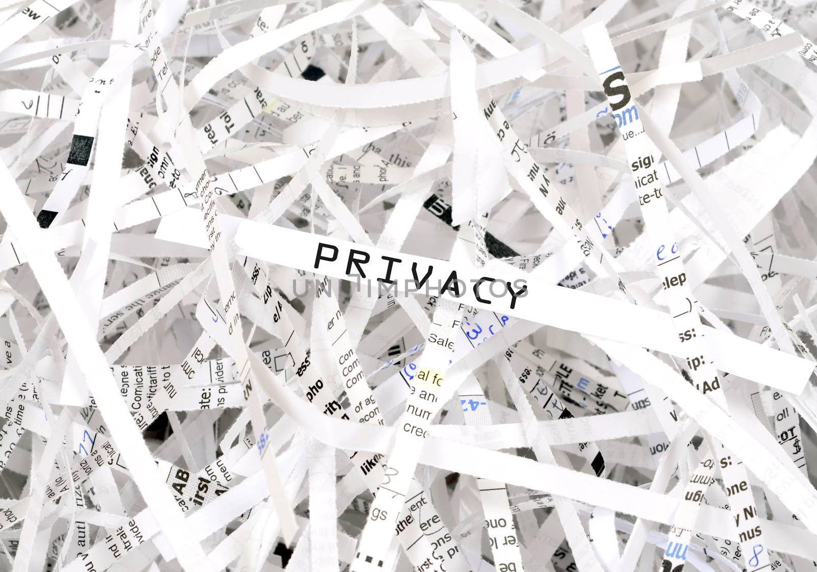 Privacy by svanhorn