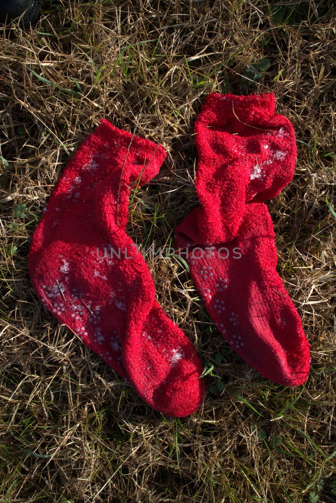 Frozen socks by tozzimr