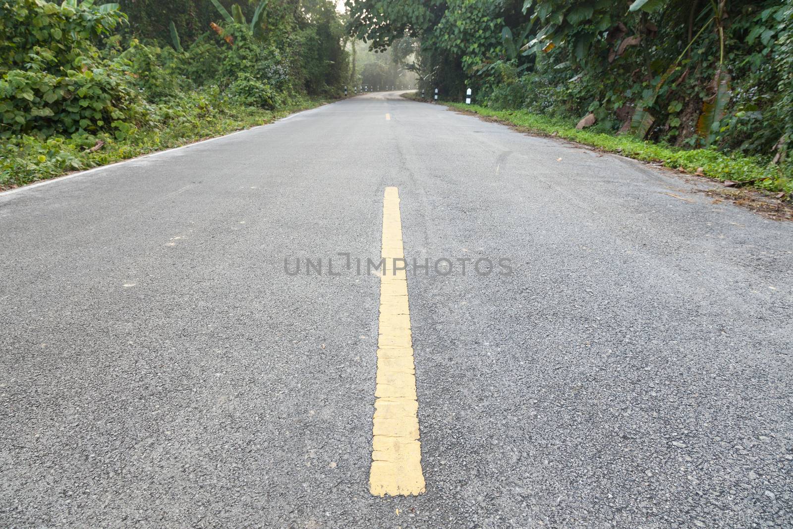 road aimed at up the mountain. Sides of the tree with a wet piece.