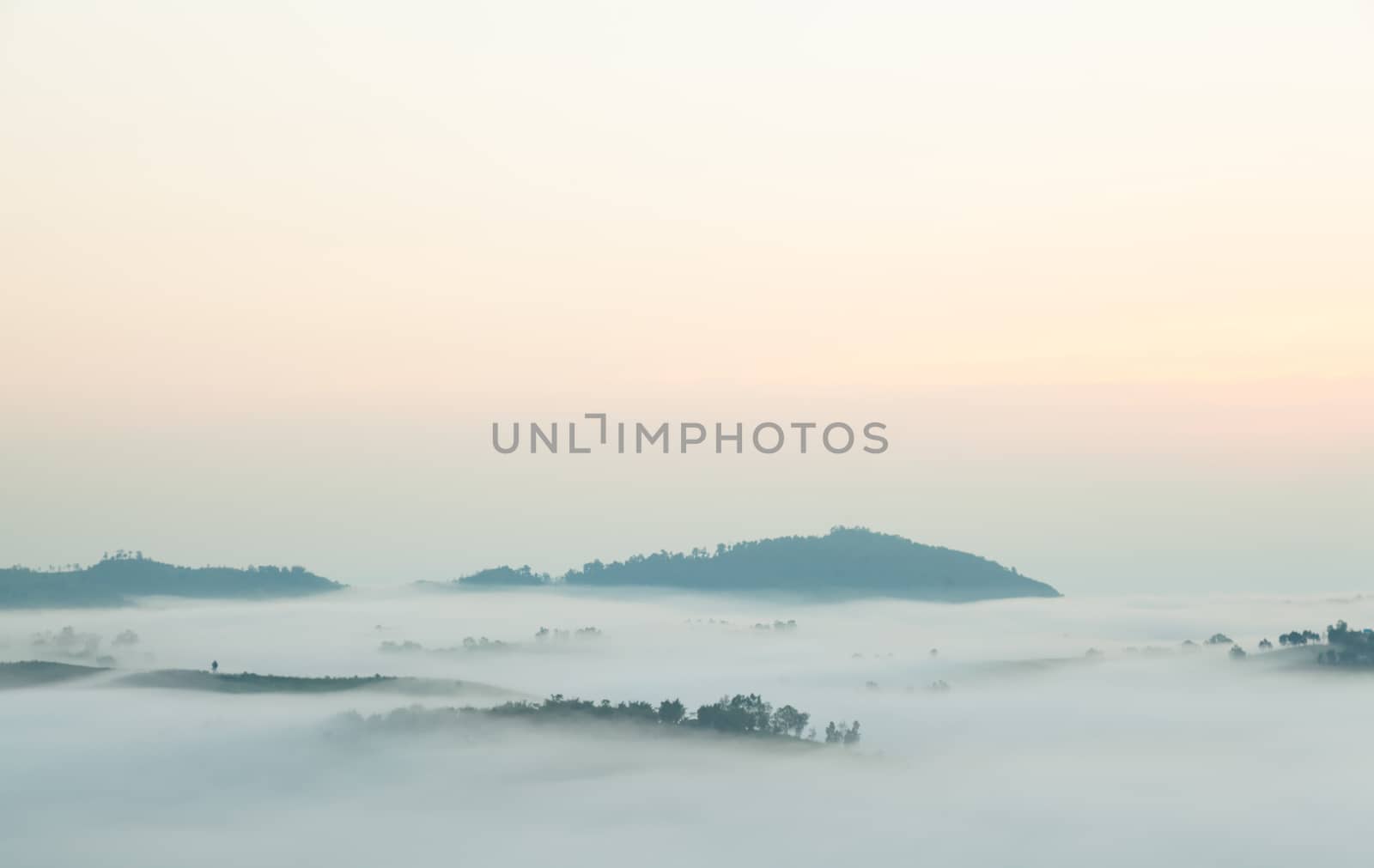 Fog covered mountains and trees on a cold morning and the sun was rising.