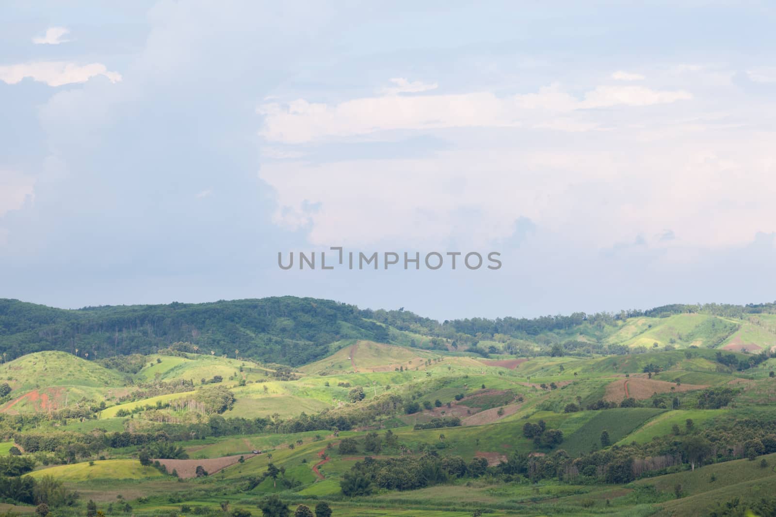 Agricultural areas in the mountains. Zoning, agricultural plantations on forest land from the villagers.