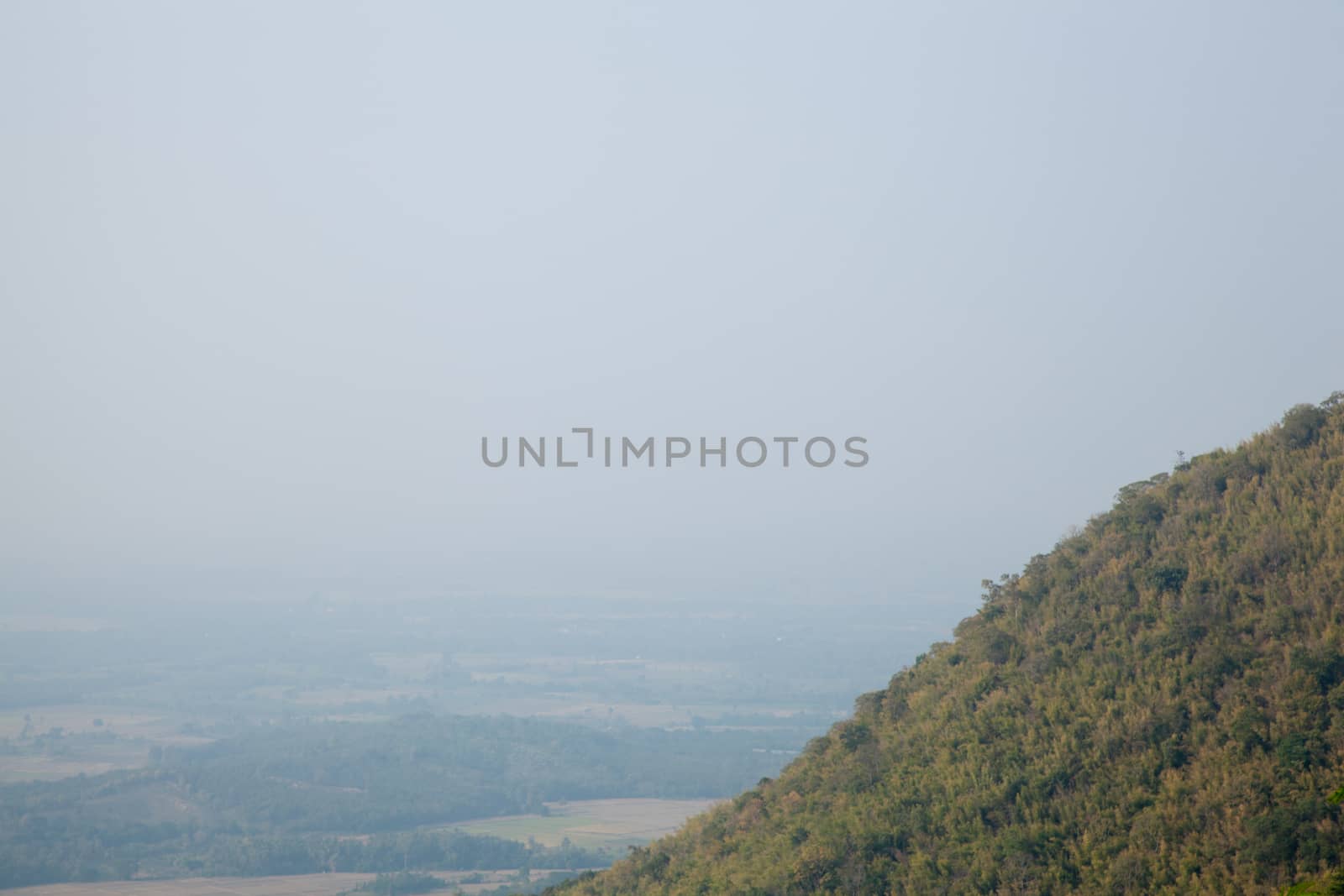 tree covered peaks. Fog in the morning. ForestCovered mountains around