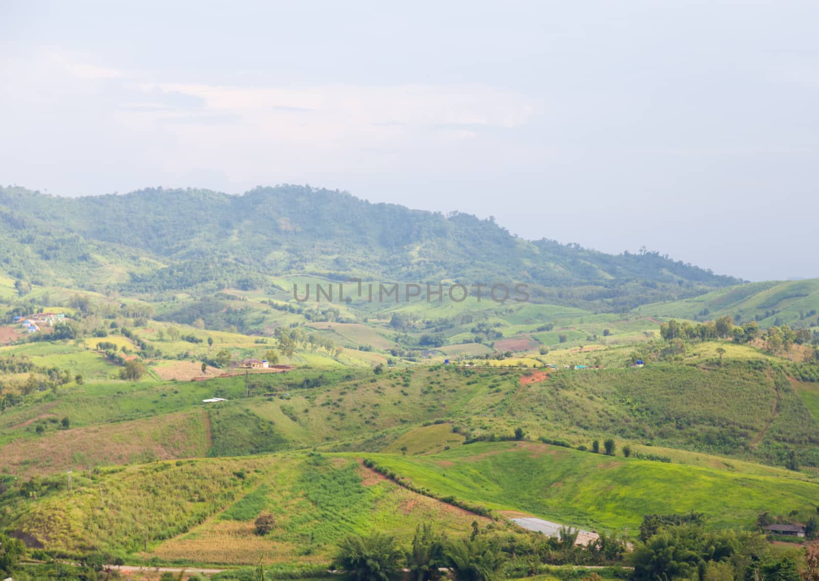 Agricultural areas in the mountains. Zoning, agricultural plantations on forest land from the villagers.