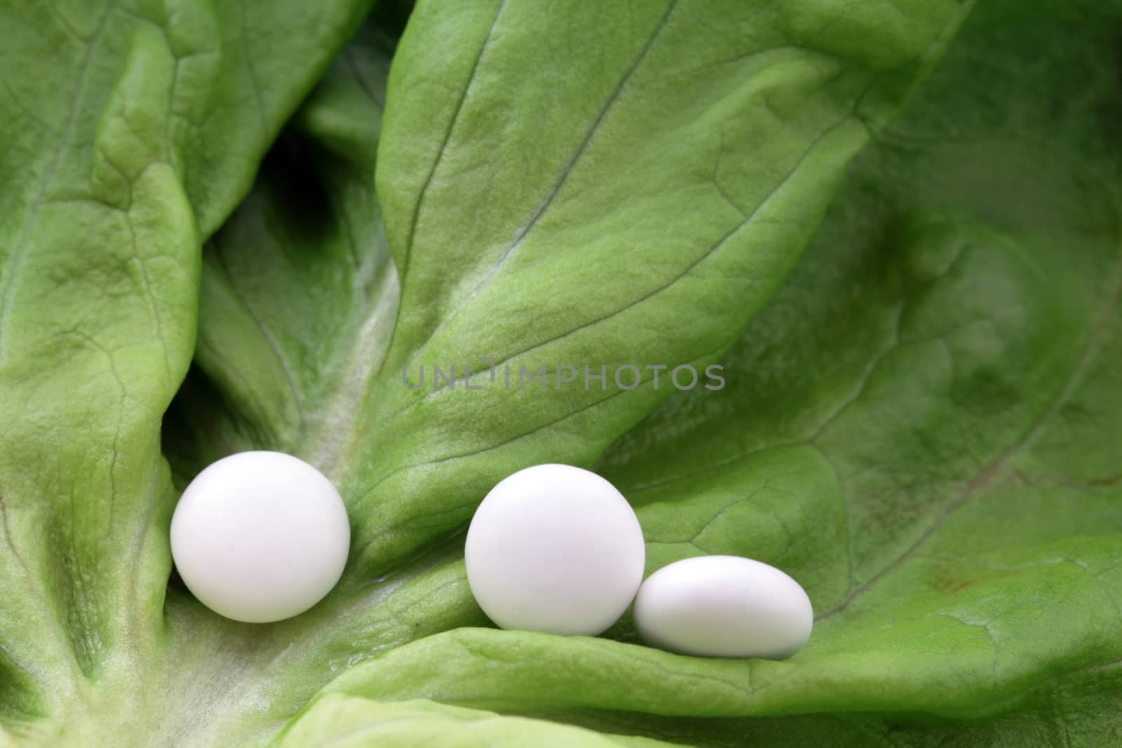 Pills on a lettuce leaf by CWeiss