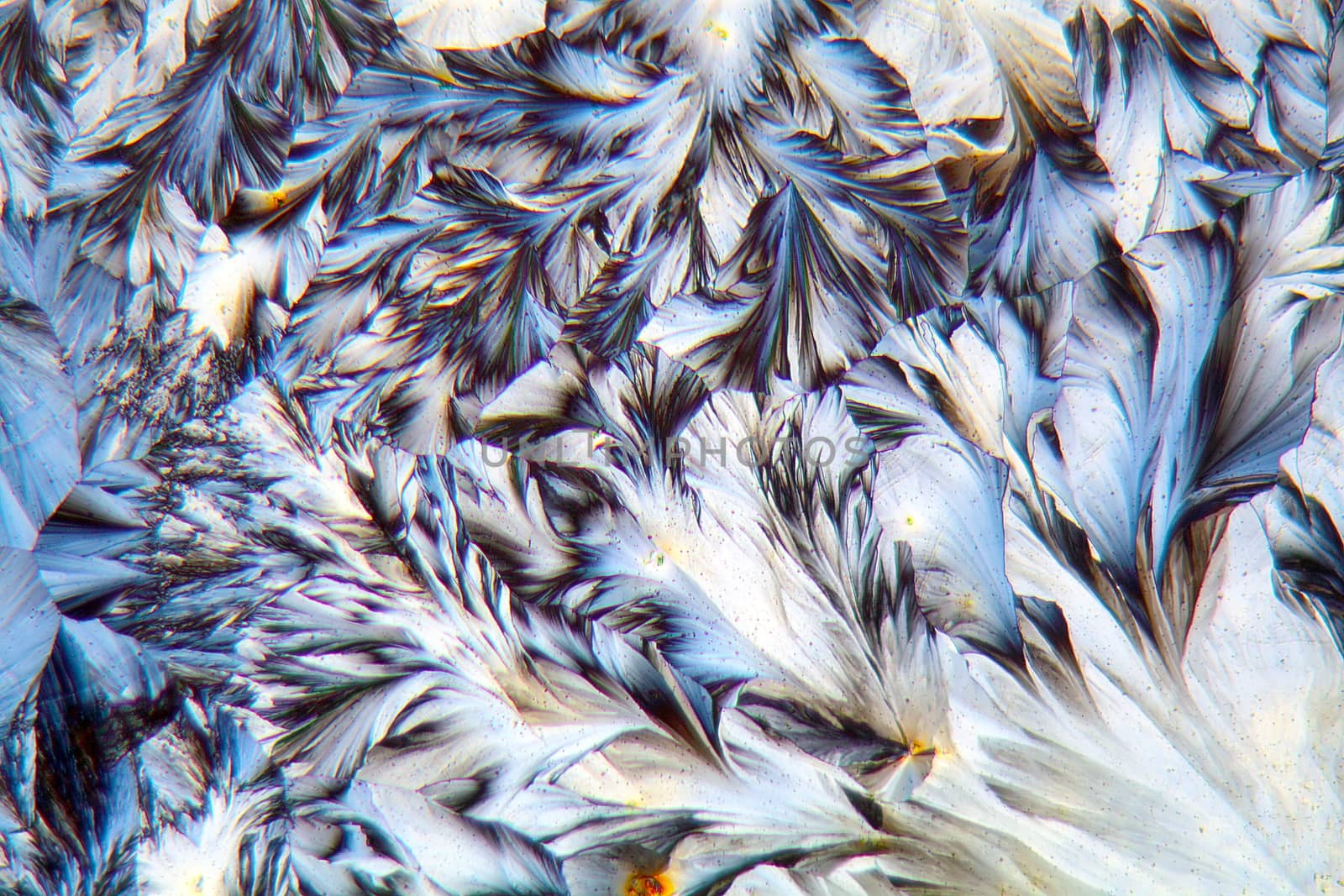 Crystals of Paracetamol under a microscope. by CWeiss