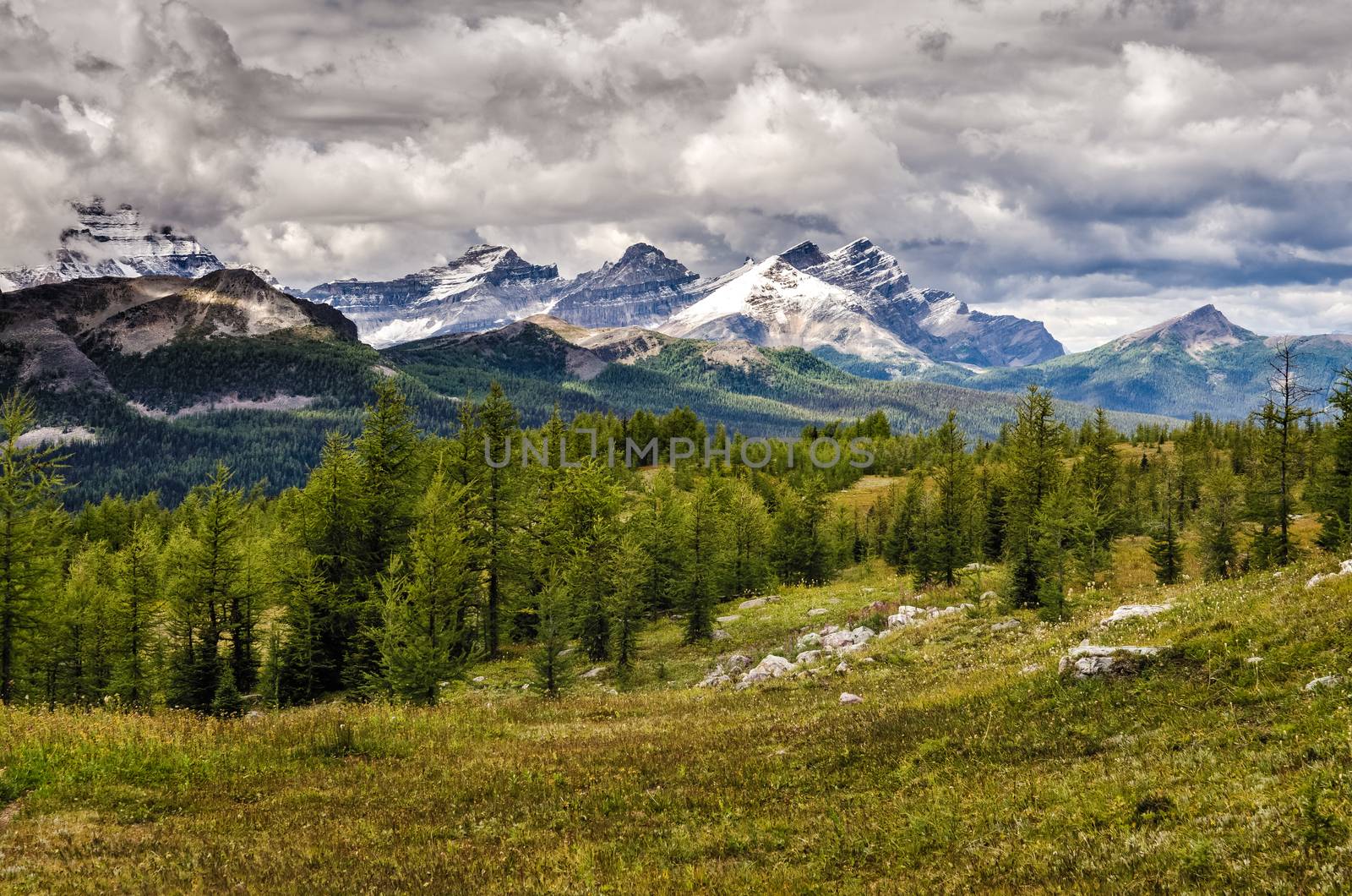 Wild landscape mountain range view, Banff national park, Alberta, Canada