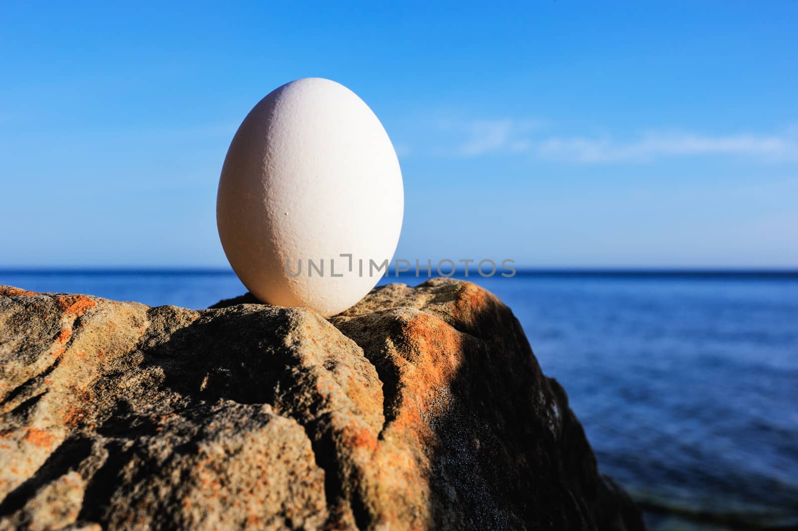 Hen's egg by styf22
