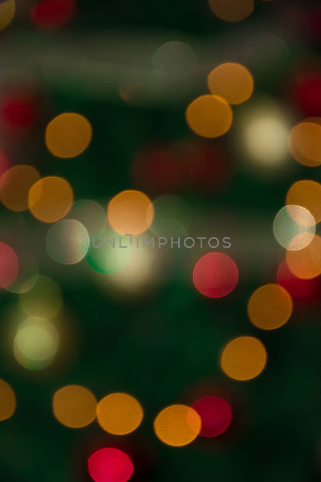 Abstract photo, christmas tree lights' bokeh.