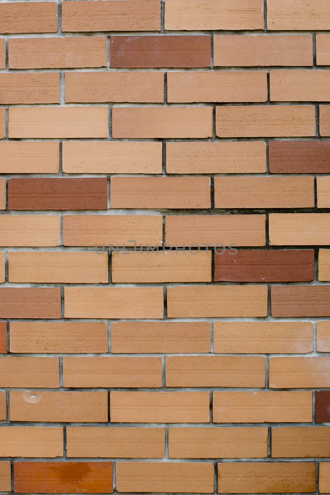 Background of brick wall texture