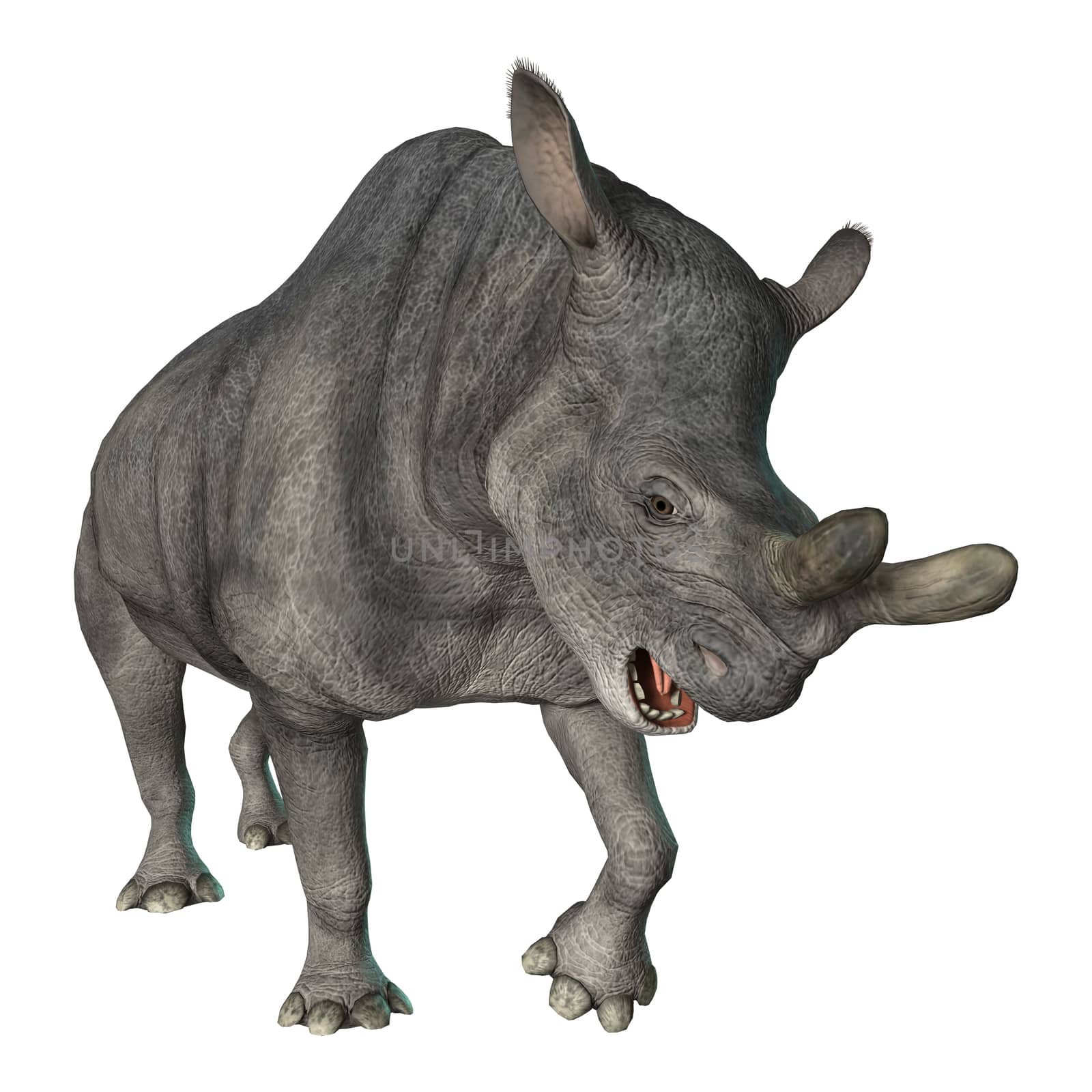 3D digital render of a Brontotherium isolated on white background