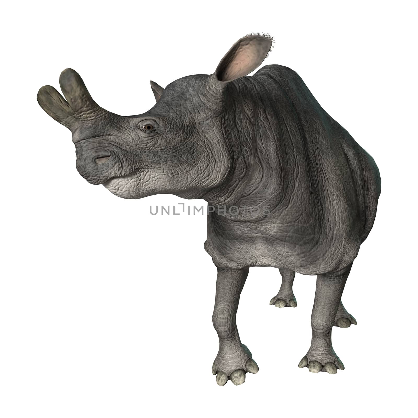 3D digital render of a curious Brontotherium isolated on white background