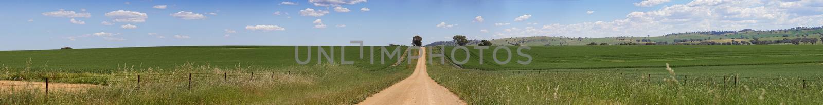 Miles of hilly dirt road carves up the fields of farmland in country NSW Australia