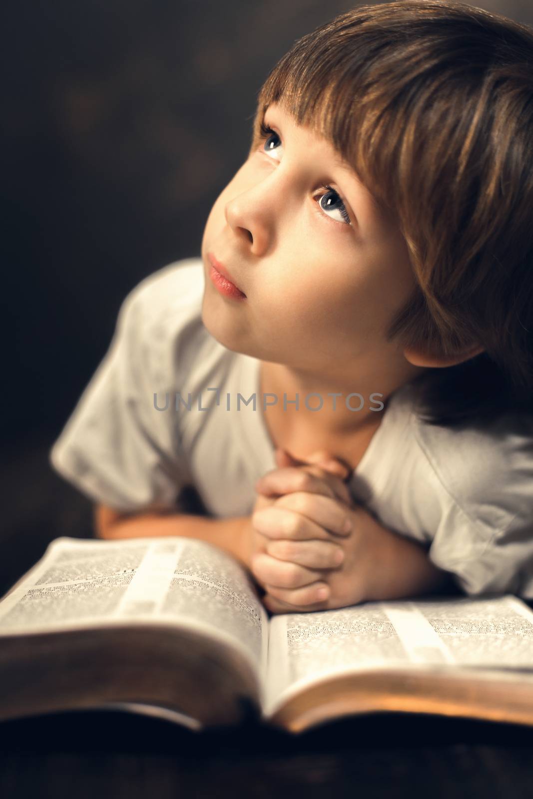 little boy studying the scriptures.