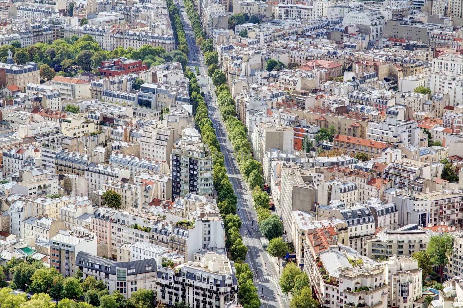 Photo shows Parisian cityscape taken on the skyscraper with various houses and monuments.