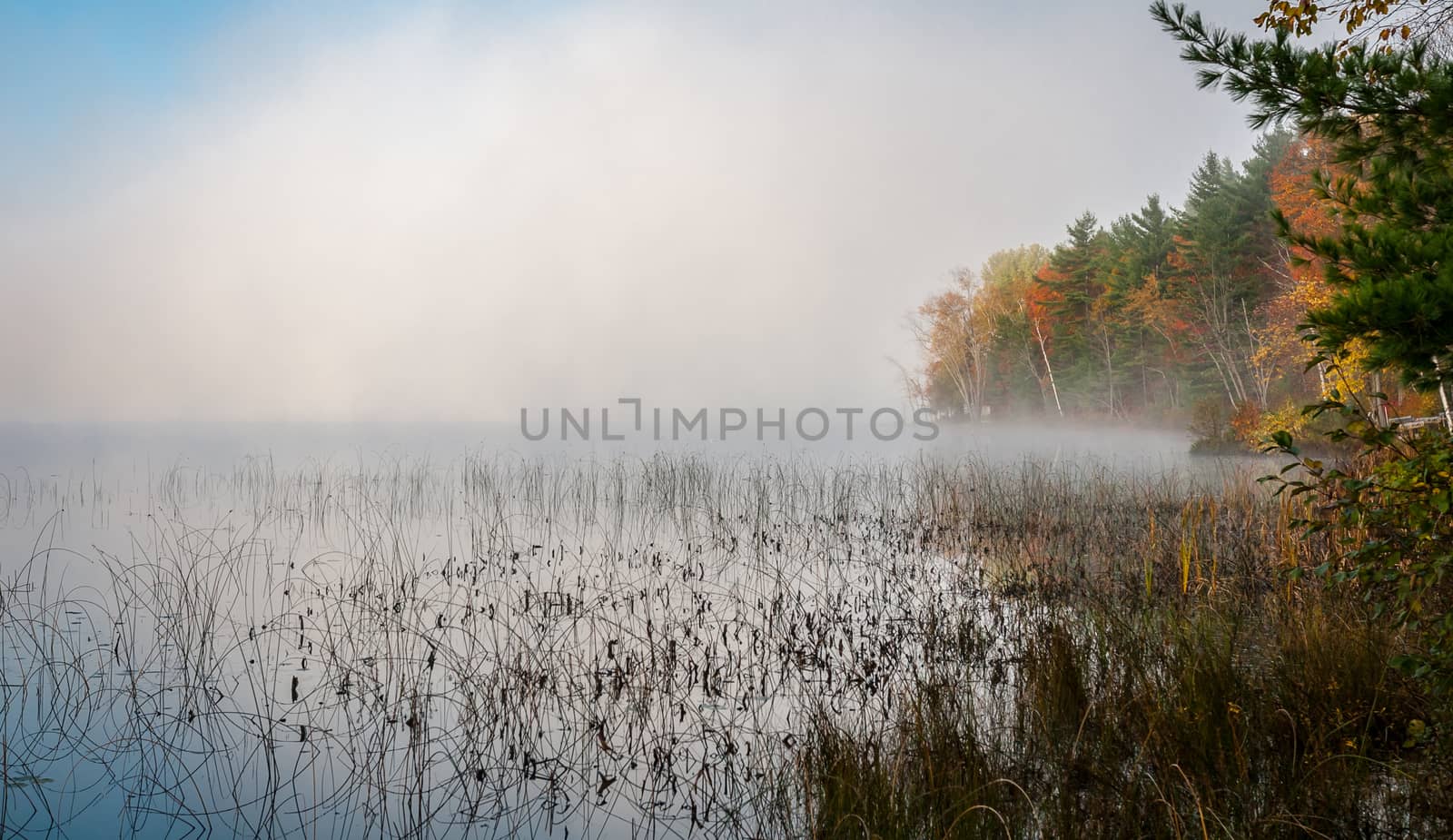Fog on a northern Ontario Lake. by valleyboi63