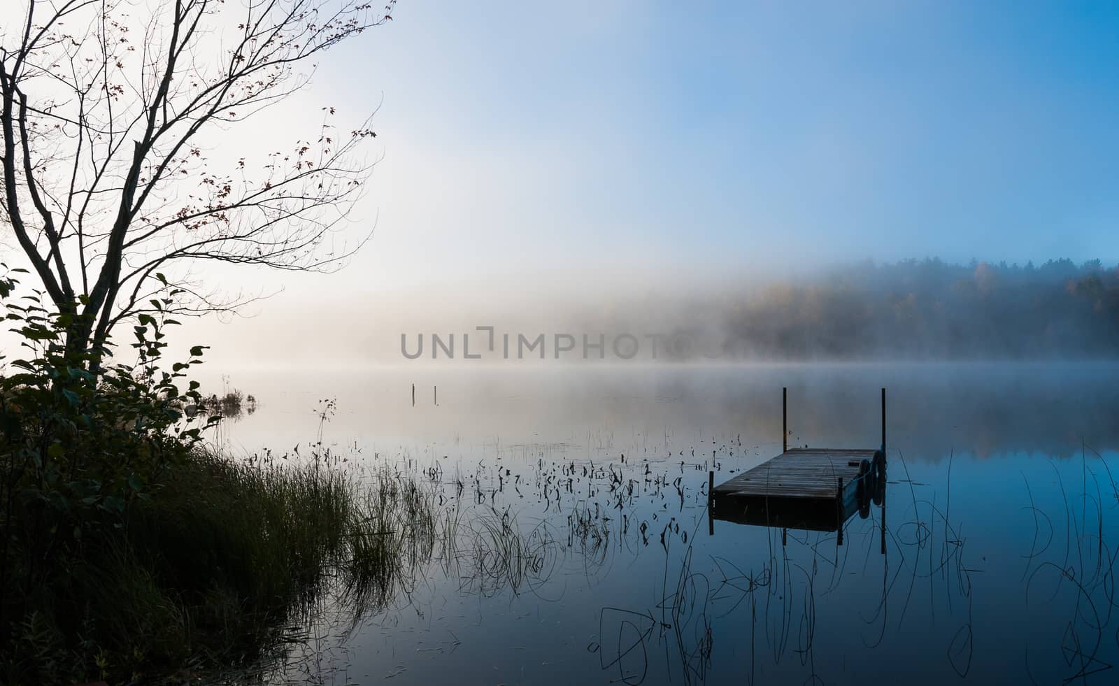 Stranded dock in a Northern Ontario lake on a foggy morning. by valleyboi63