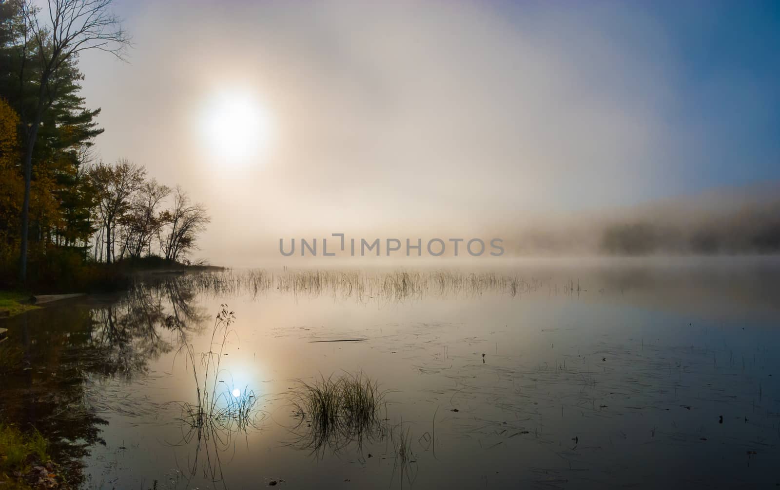 A weekend in the woods of south eastern Ontario, on a small lake.