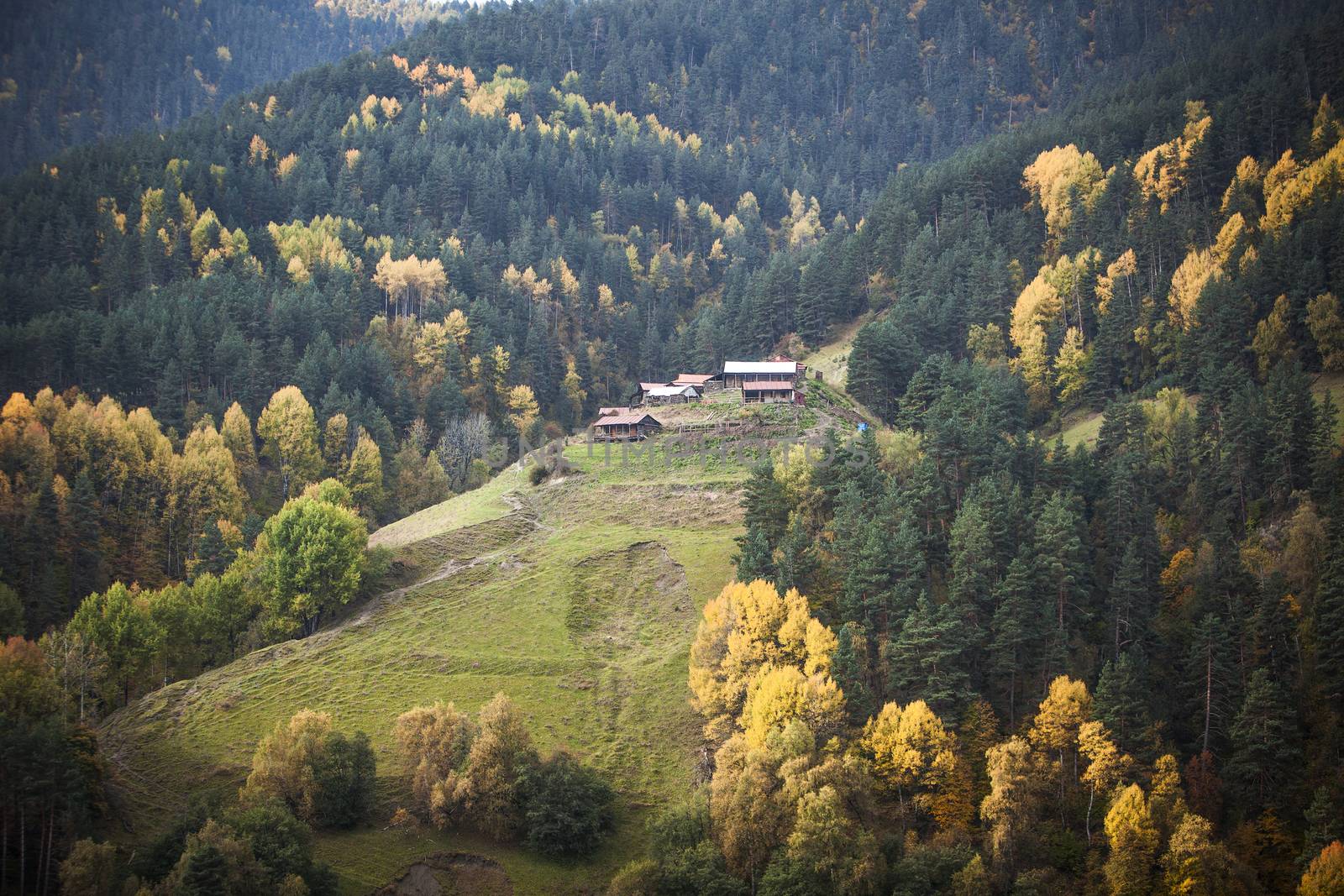 Georgia mountain forest village landscape by Kor
