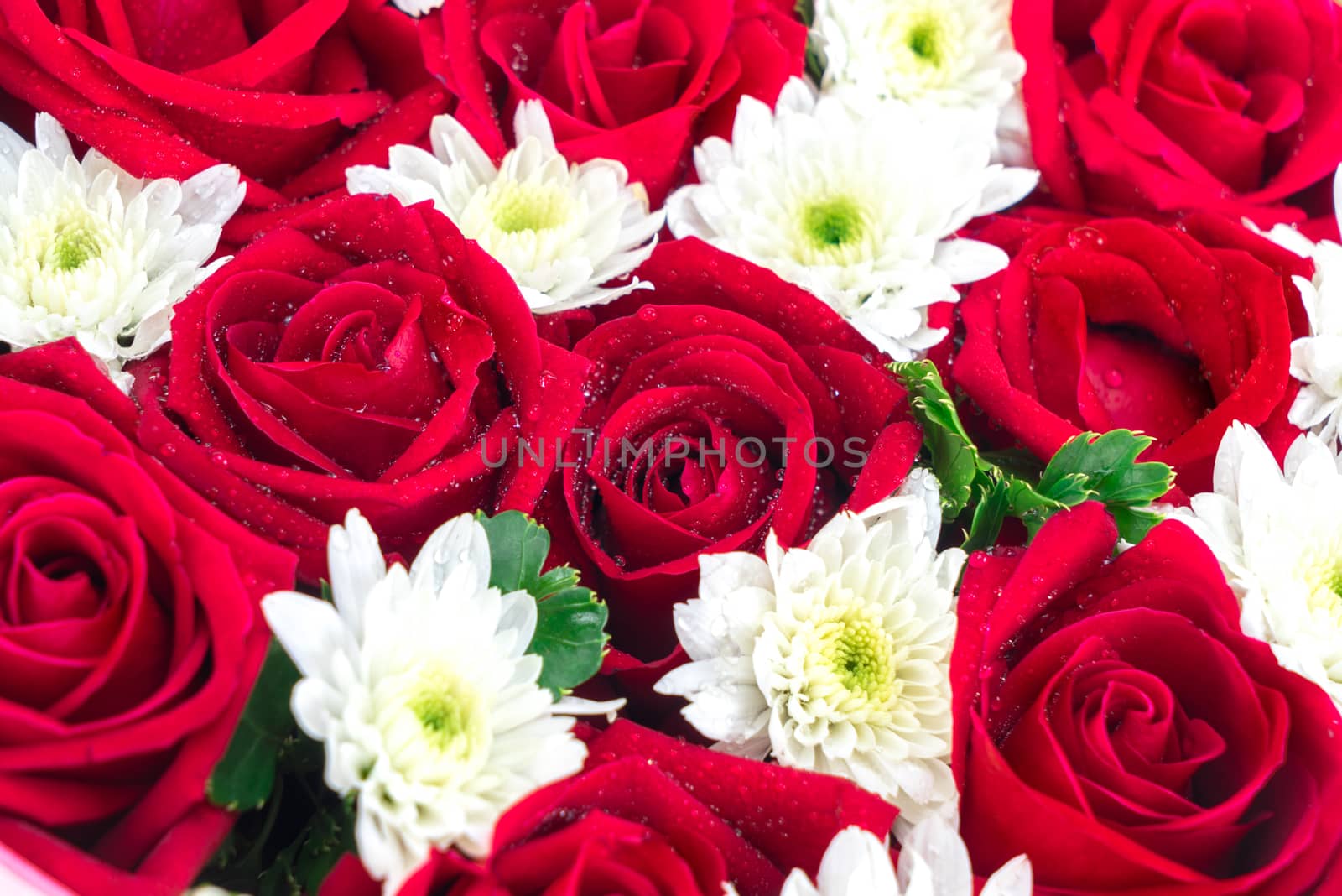 Roses and carnations. gift for valentine 's day