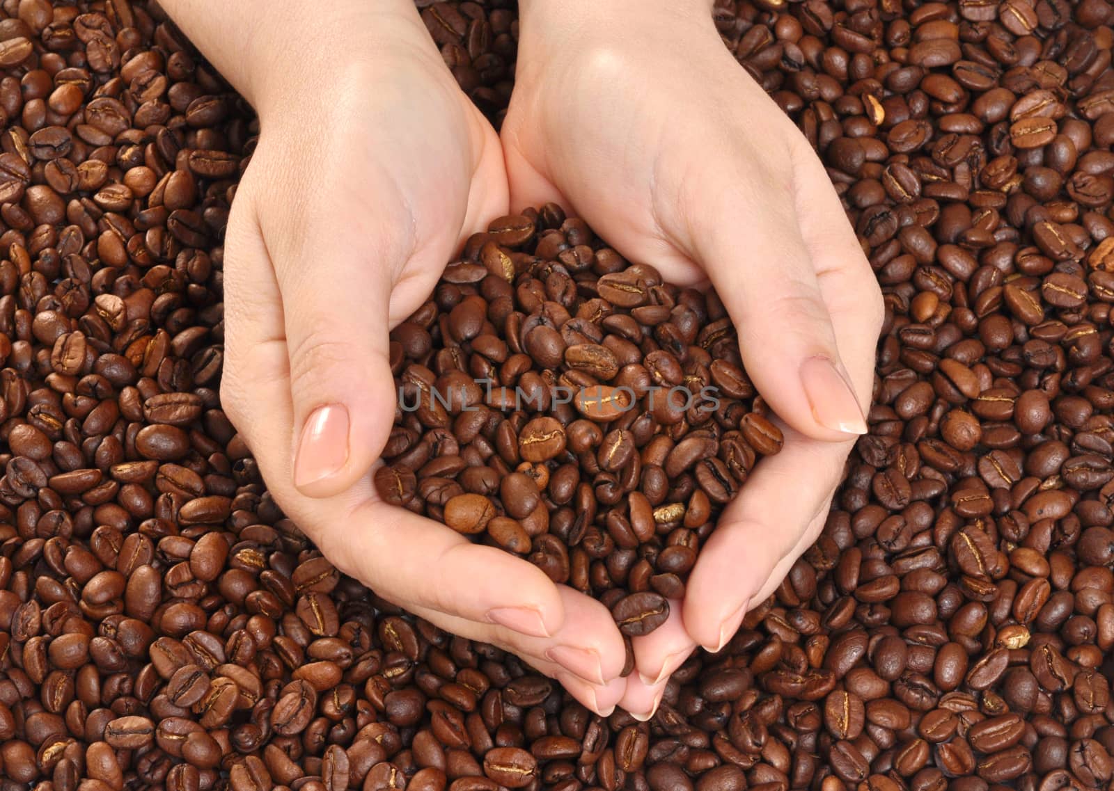 Woman holding coffee beans