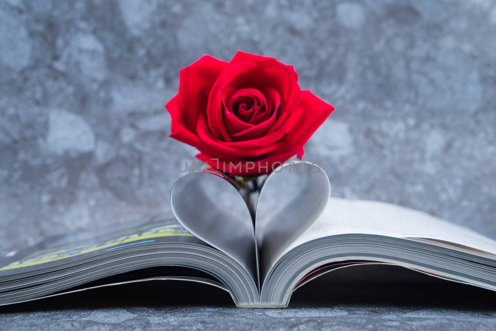 Rose placed on the books page that is bent into a heart shape on granite rock background