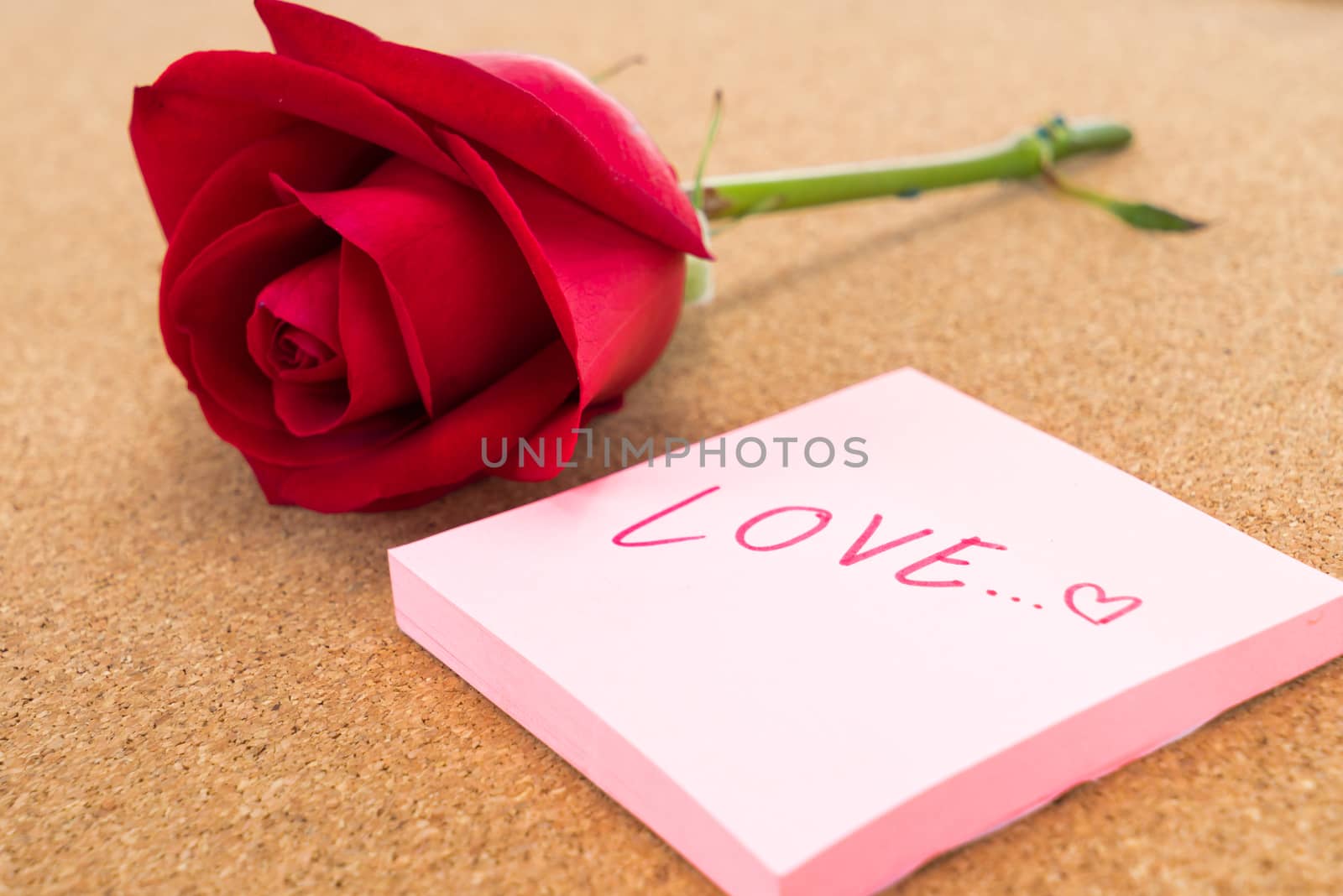 Single red rose with post it with word "love" writing on , corkboard background