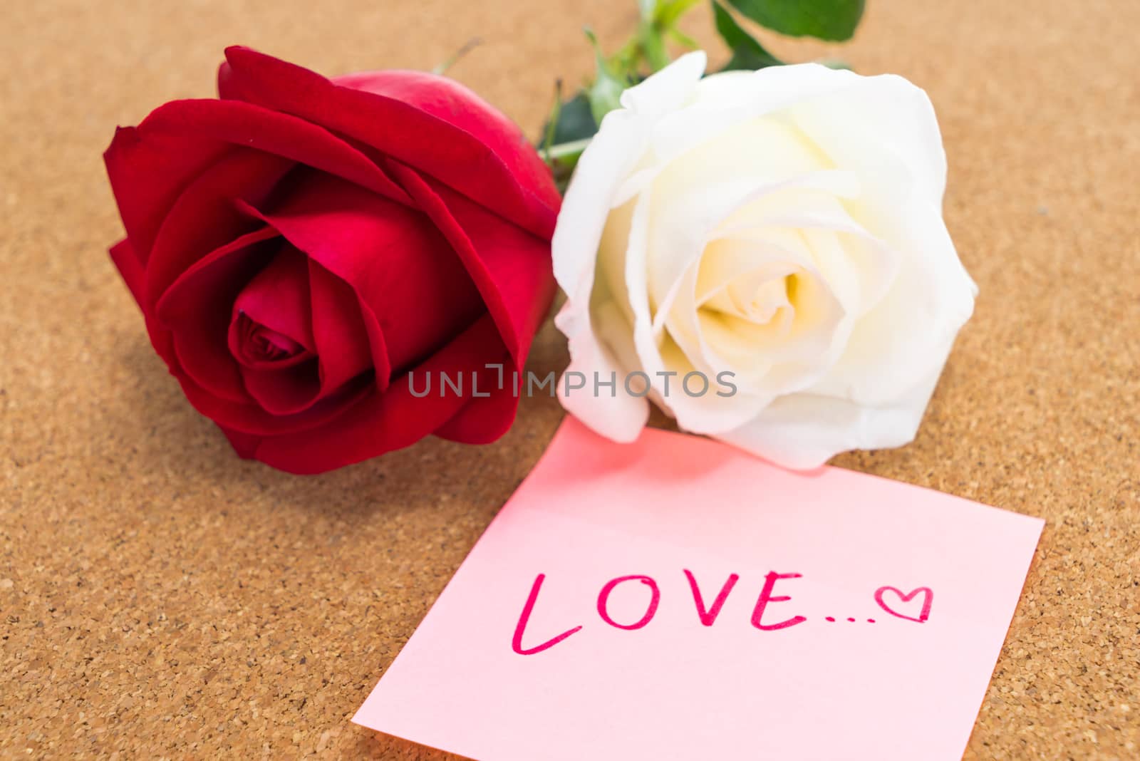 red and white rose with post it with word "love" writing on , corkboard background