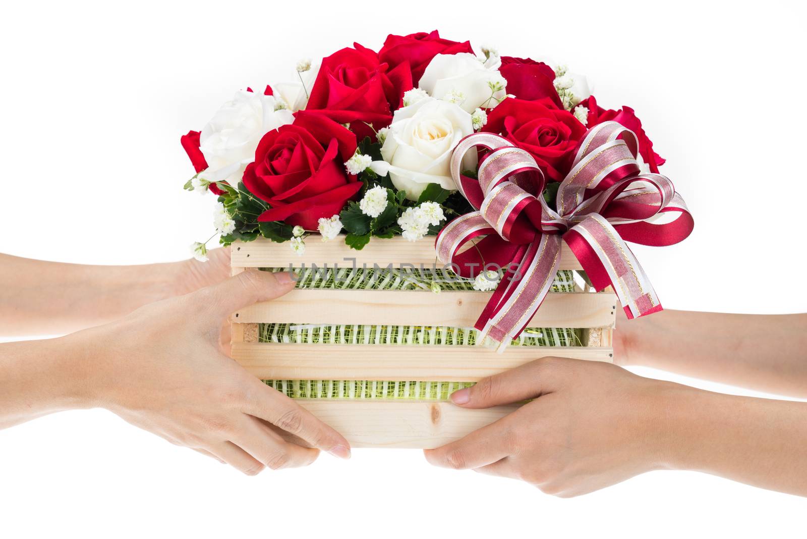 Hand delivers baskets of red and white rose flowers as a gift isolated on white background