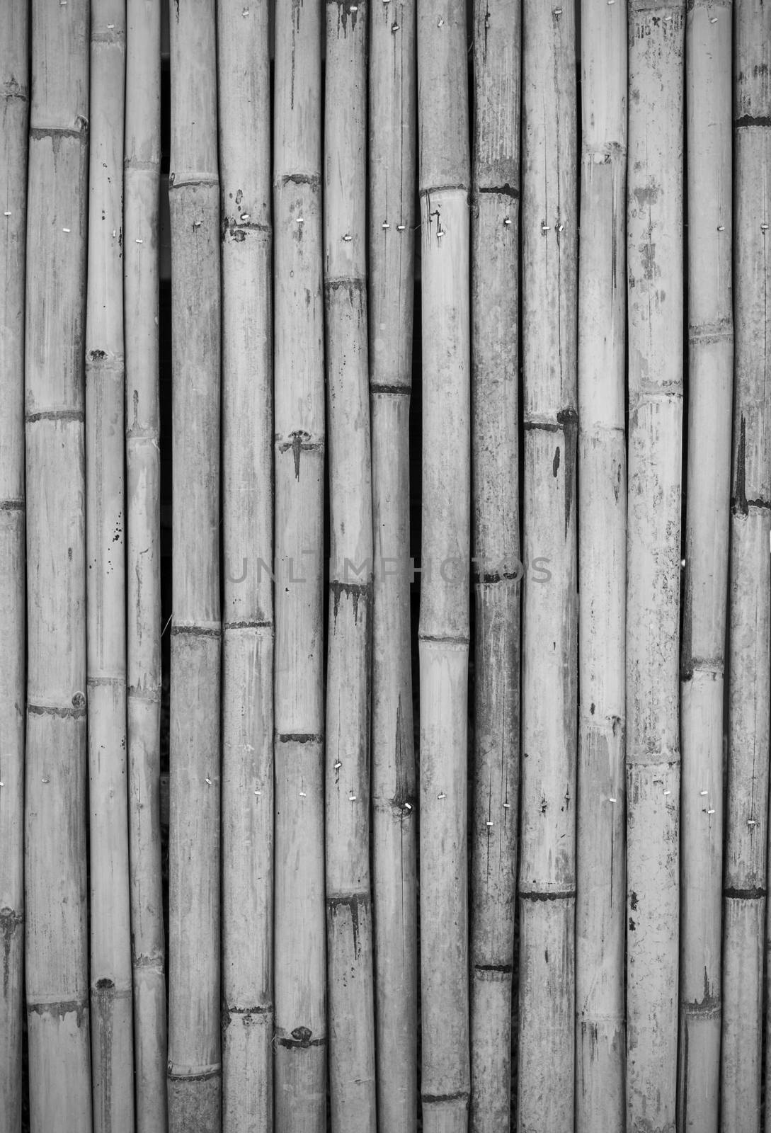 close-up of bamboo fence background in the park, outdoor, black and white