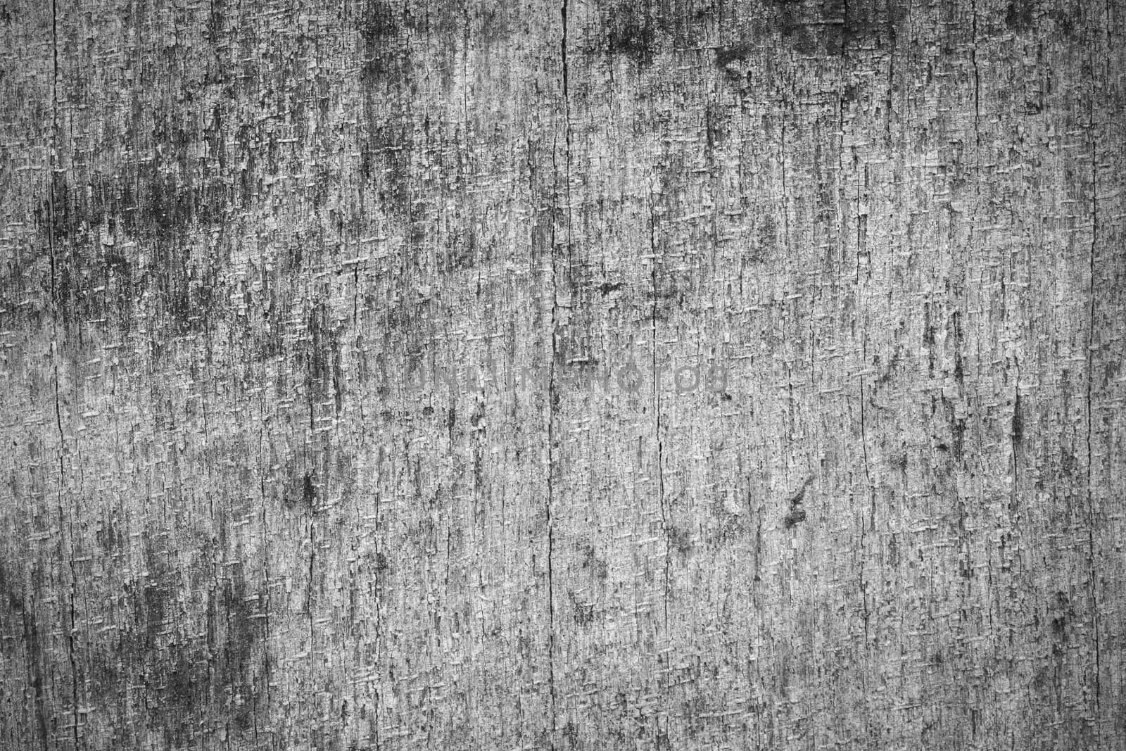 Old and dirty plywood texture for background, black and white