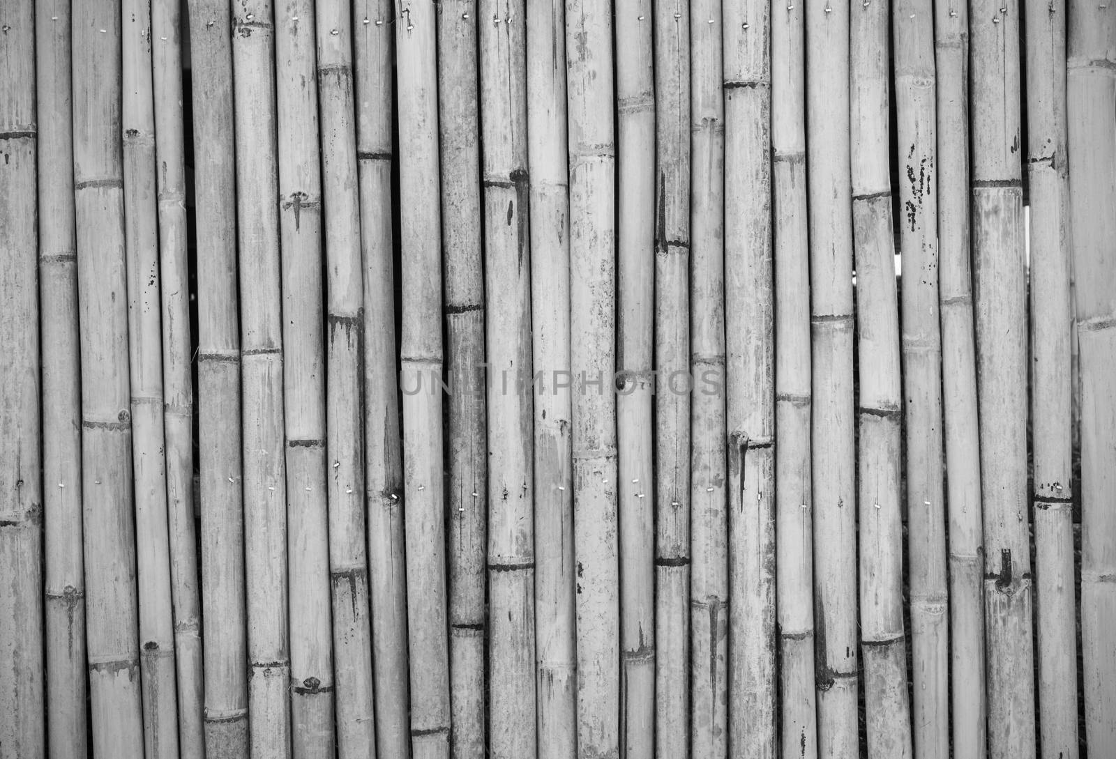 close-up of bamboo fence background in the park, outdoor, black and white