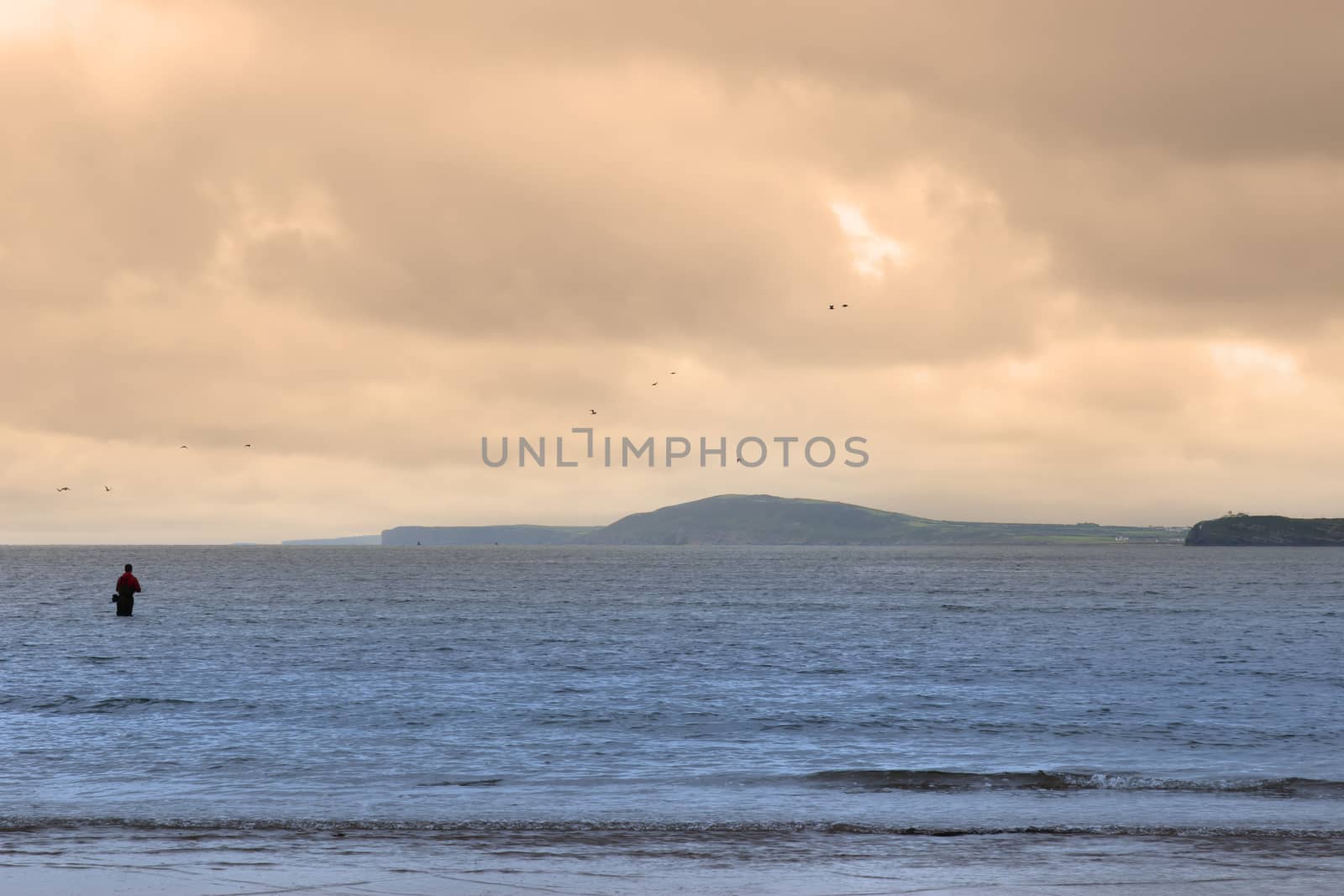 lone fisherman wading in the river Shannon county Kerry Ireland