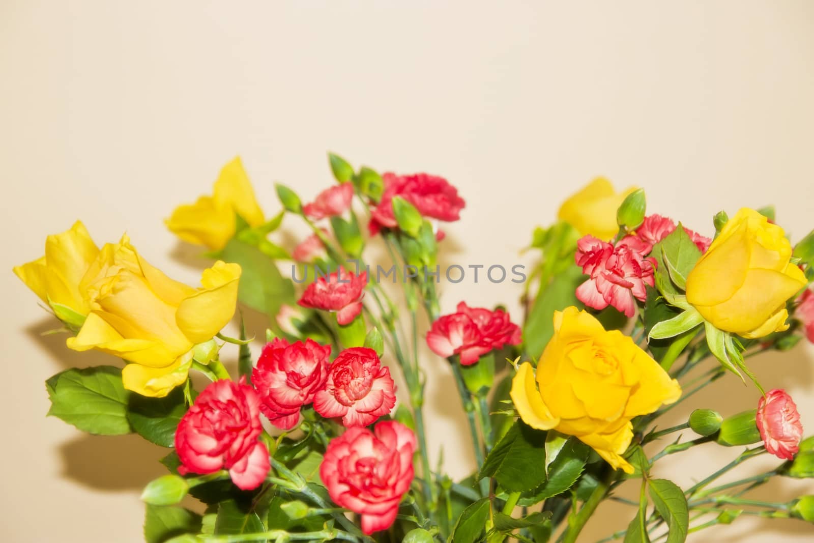 small bunch of roses and carnations against a cream background