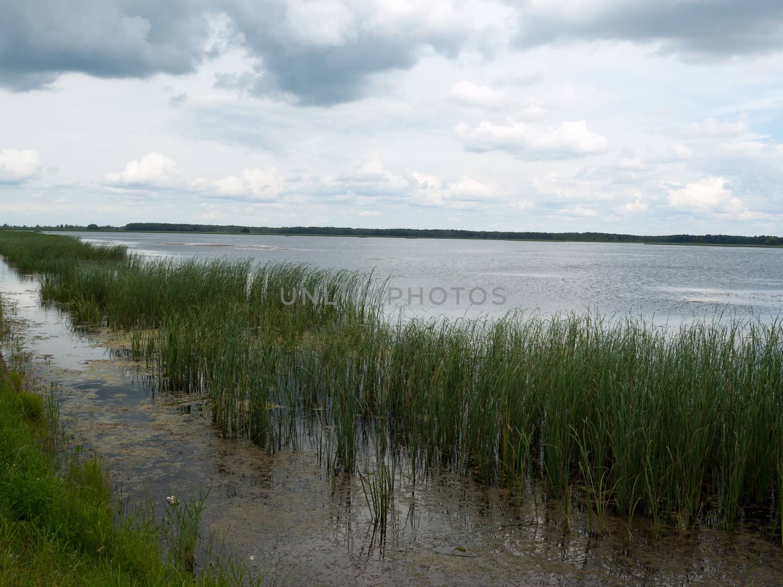 Beauty landscape with lake in summer day