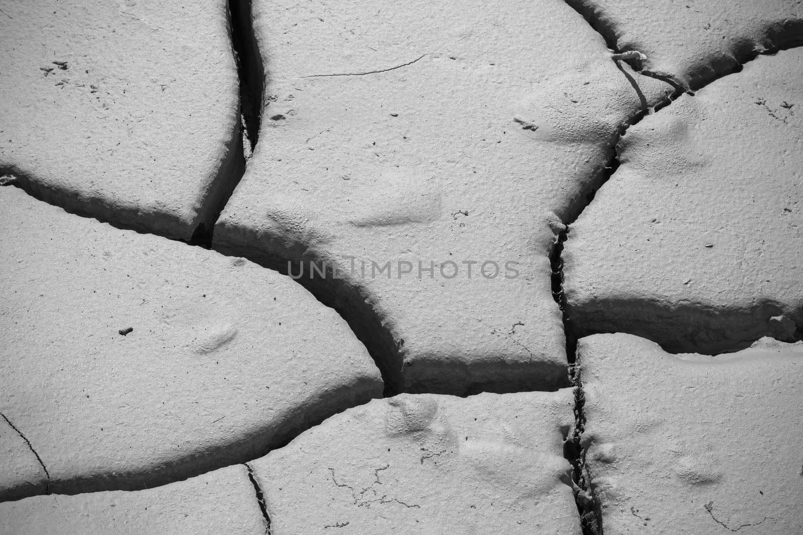 close-up cracked soil ground, drought land so long waterless, close-up, black and white