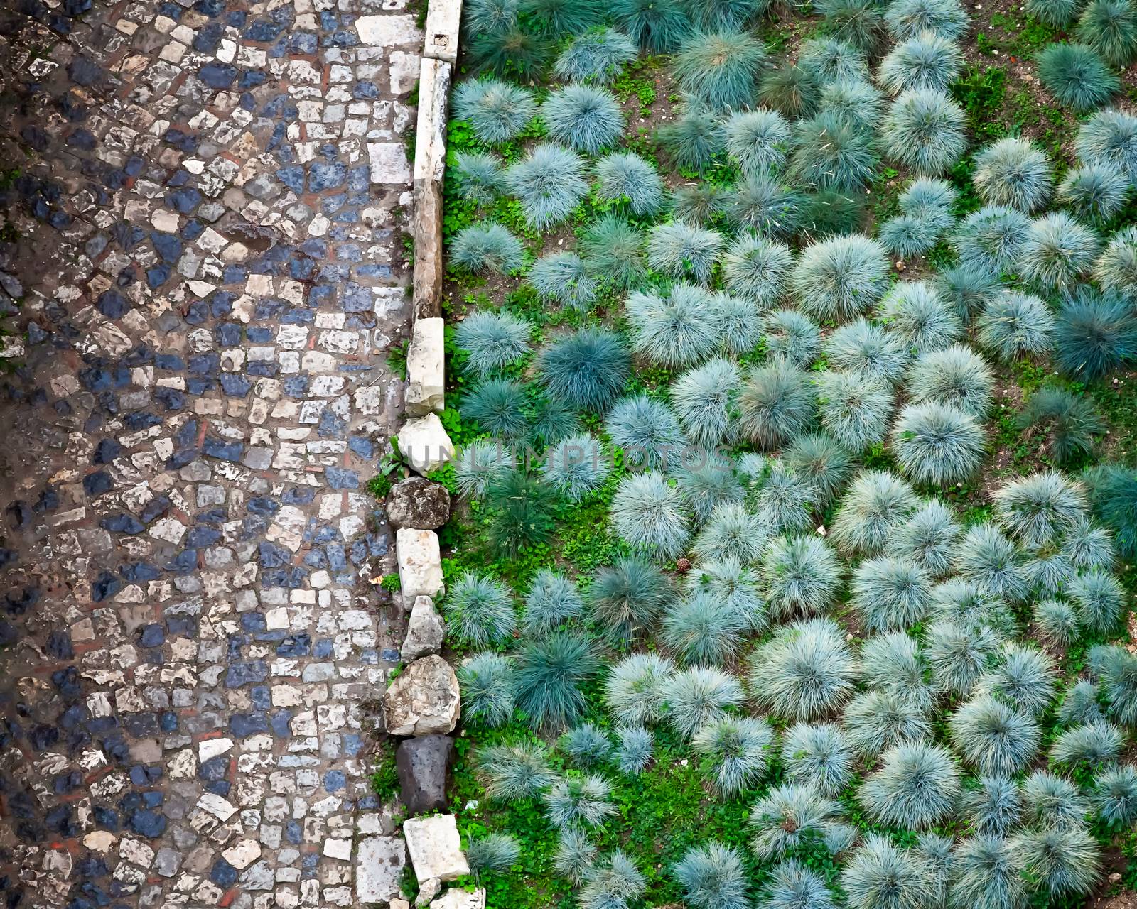 Cobbled Road and Green Plants in San Giorgio Fortress in Lisbon, Portugal