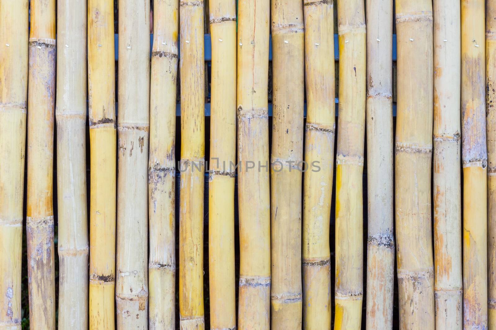 close-up of bamboo fence background in the park, outdoor