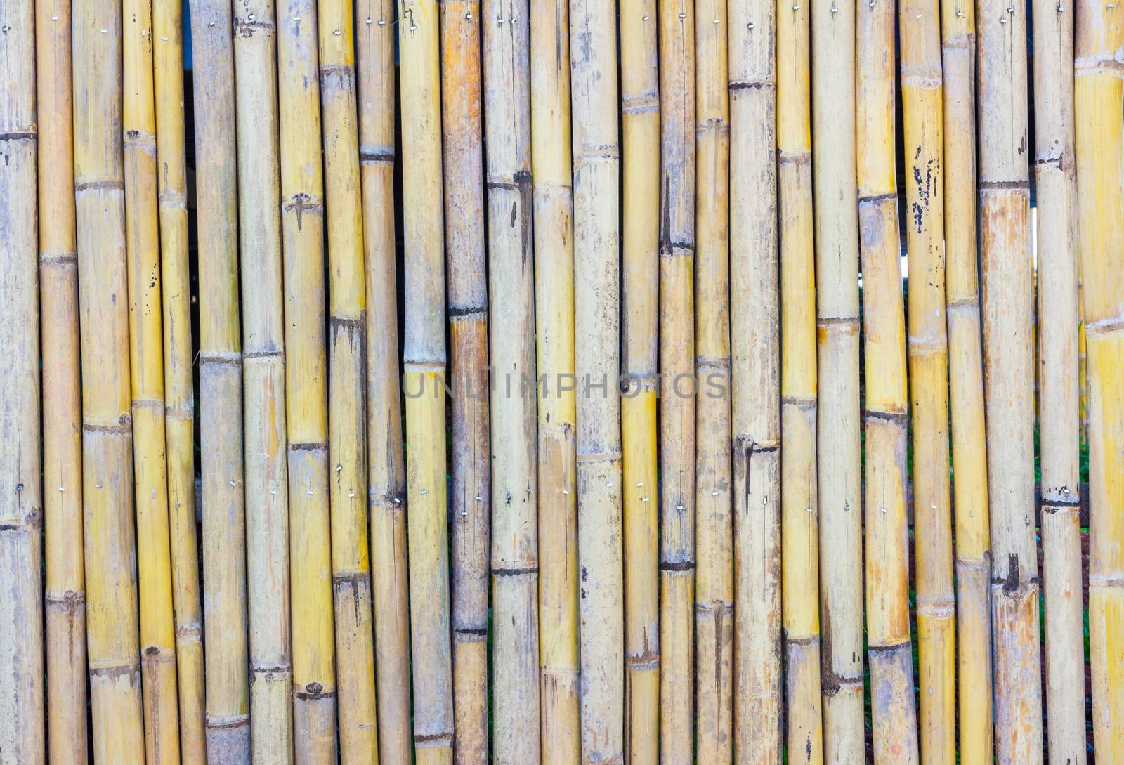 close-up of bamboo fence background in the park, outdoor
