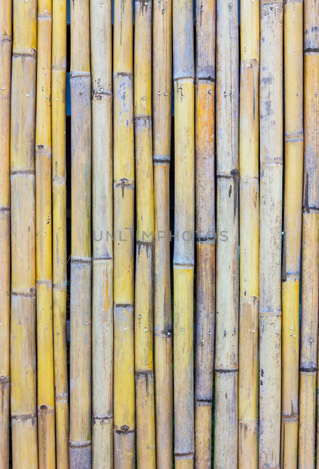 close-up of bamboo fence background in the park, outdoor