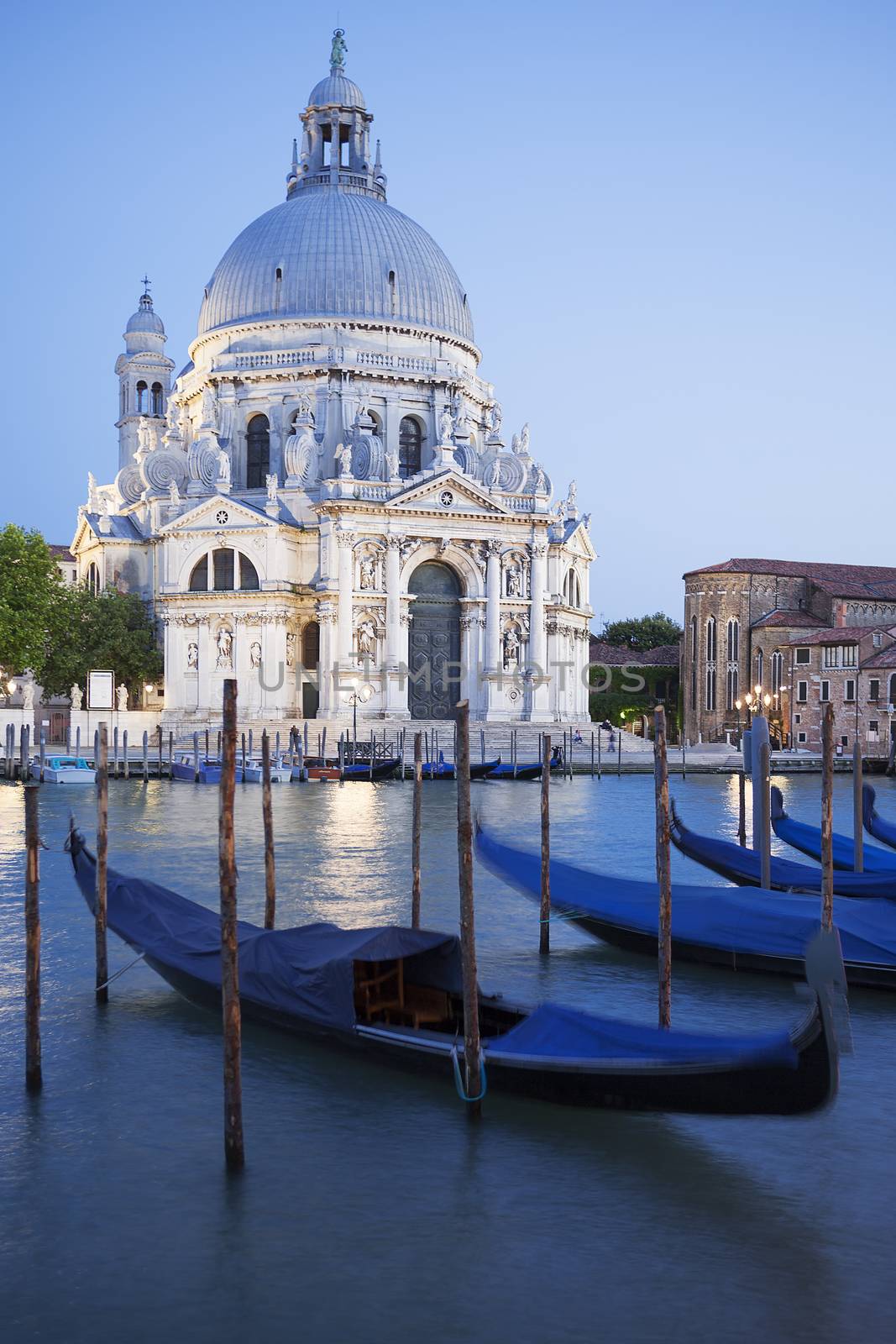 Gondolas on Canal Grande with Basilica di Santa Maria della Salute in the background, Venice, Italy